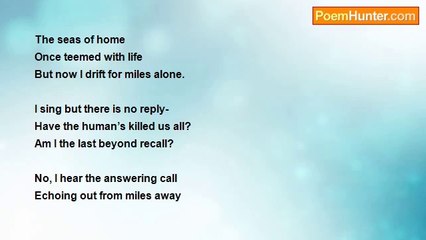 John F. McCullagh - Whale Song