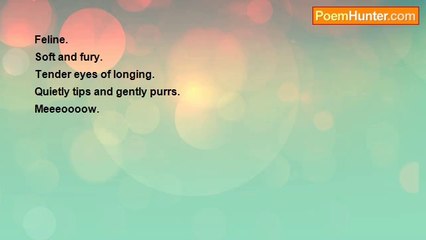 Walterrean Salley - Cat