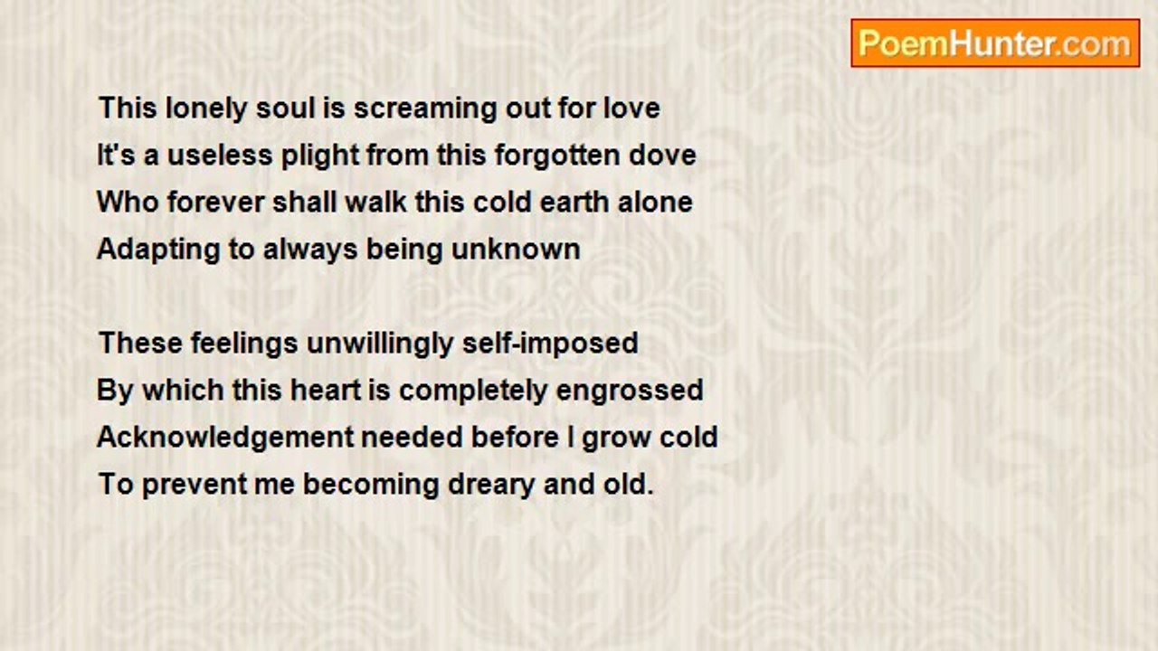 Tracy Scheepers - Forgotten Dove