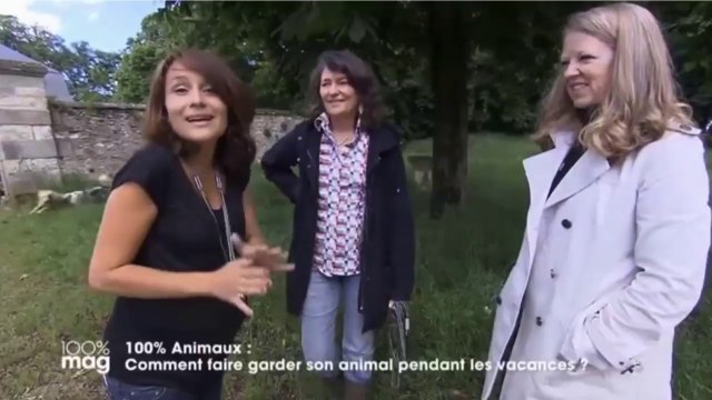 Garde d'animaux chien chat : pet sitter et échange gratuit entre particuliers sur M6 100% Mag