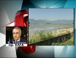 Ο πρόεδρος του ΕΛΓΑ για τις αποζημιώσεις