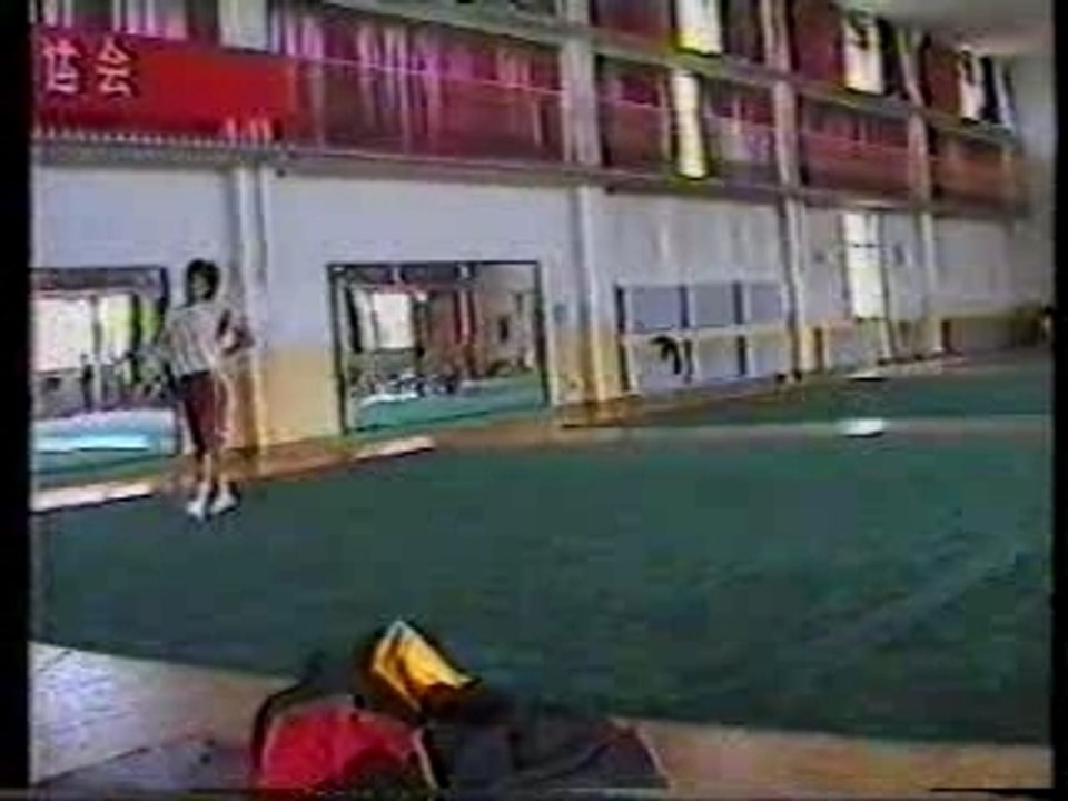 wu bin's  wushu school