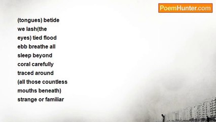 Warren Falcon - Whatever It Is, A Mariner's Tale