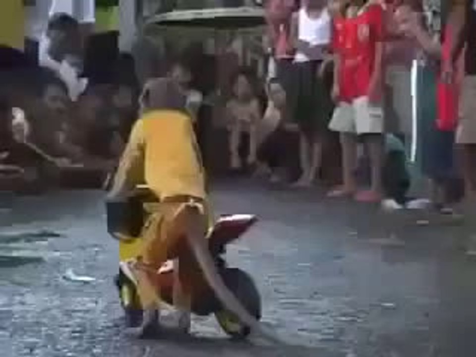 Monkey Rider