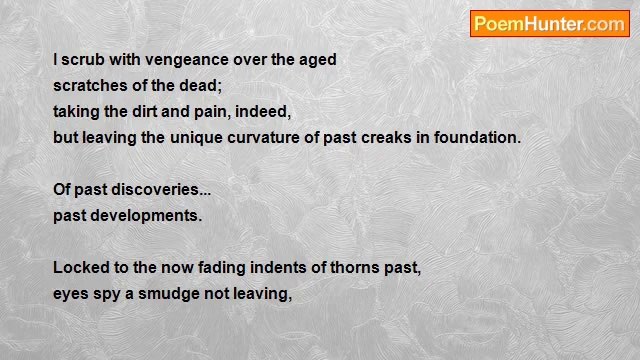 Lily Bathen - Roses and Lilies