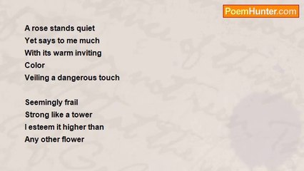 Vincent Feliciano - A Rose Like You