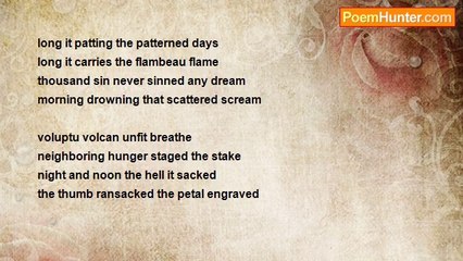 Pranab K. Chakraborty - Fire That Burns