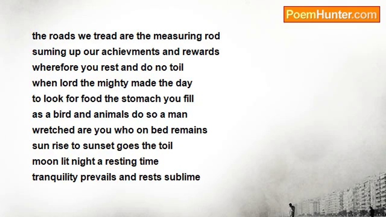 ayesha siddiqui - never