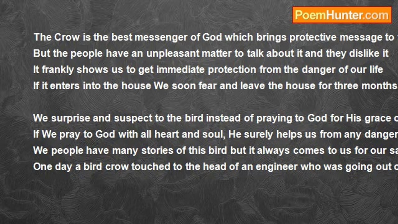 Mazid S Kazi , INDIA - The Bird Crow