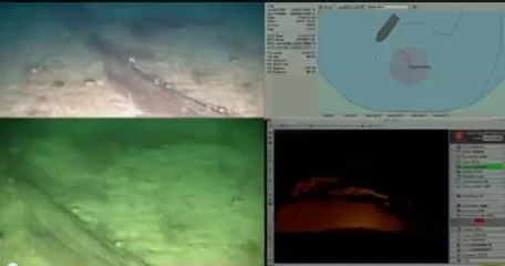 Denizler Terkedilmiş Ağlardan Temizleniyor