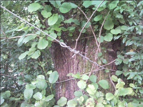 SOKO NA LICU MESTA-PRAVA ISTINA O MILANU NENADOVICU ZVANOM KARABAJA