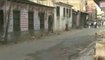 Inde : des milliers de singes envahissent la ville d'Agra