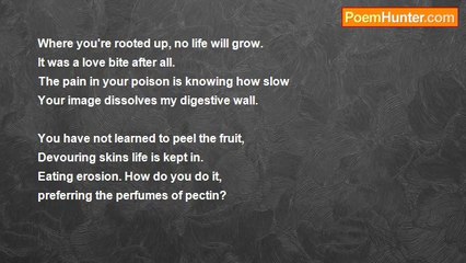 Rita Cerniglia - Achilles' Heart