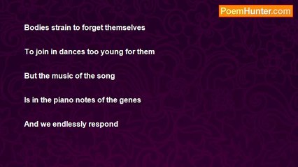 Tommy Stroller - A Very Personal History