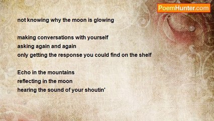 Echo Moonlight - Echo