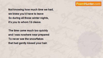 Marea Johnson - Winter Nights