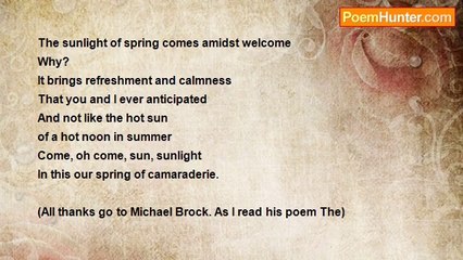 Kolawole Ajao - The sunlight that comes in spring