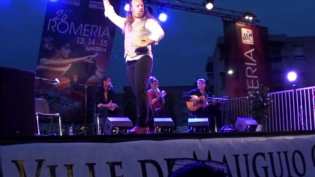 Cuadro flamenco Lorenzo Ruiz - Romeria de Mauguio 2014