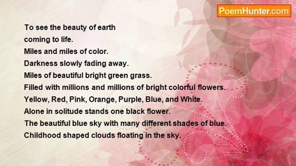 Jessica Hernandez (teardrop) - Beauty