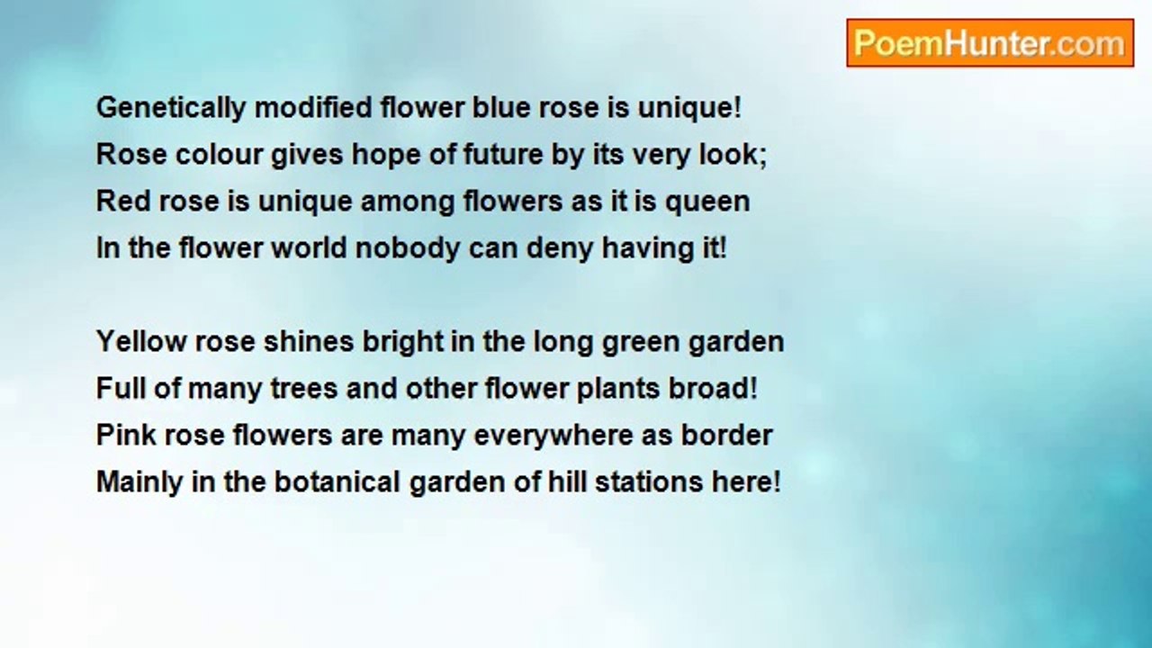 Ramesh T A - A BLUE ROSE!