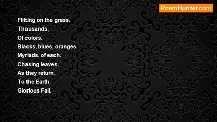 Juan Olivarez - Leaves And Butterflies