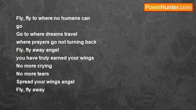 Black on Black Arts - Fly, Fly Away