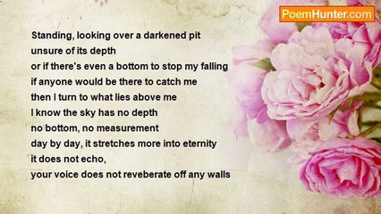 Lisa Webster - Into the Sky