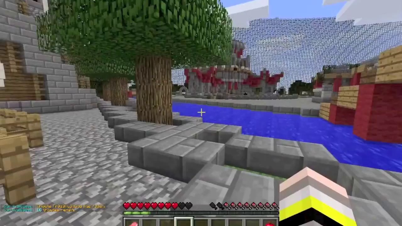 MINECRAFT - LET'S PLAY - HUNGER GAMES