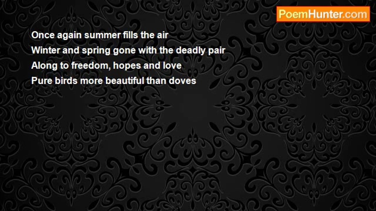Kurt Barekman - Summer Dreams