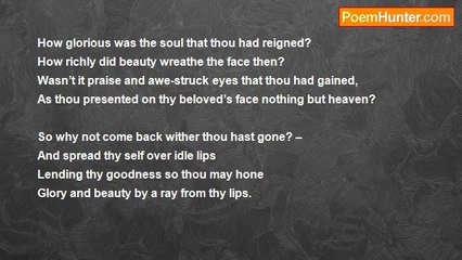 Fiona Sunny - Beckoning the Fugitive Smile