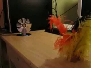 How To Make A Fan with Old CD