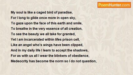 Cosmic Dreamer - Shackled By Our Own Beliefs