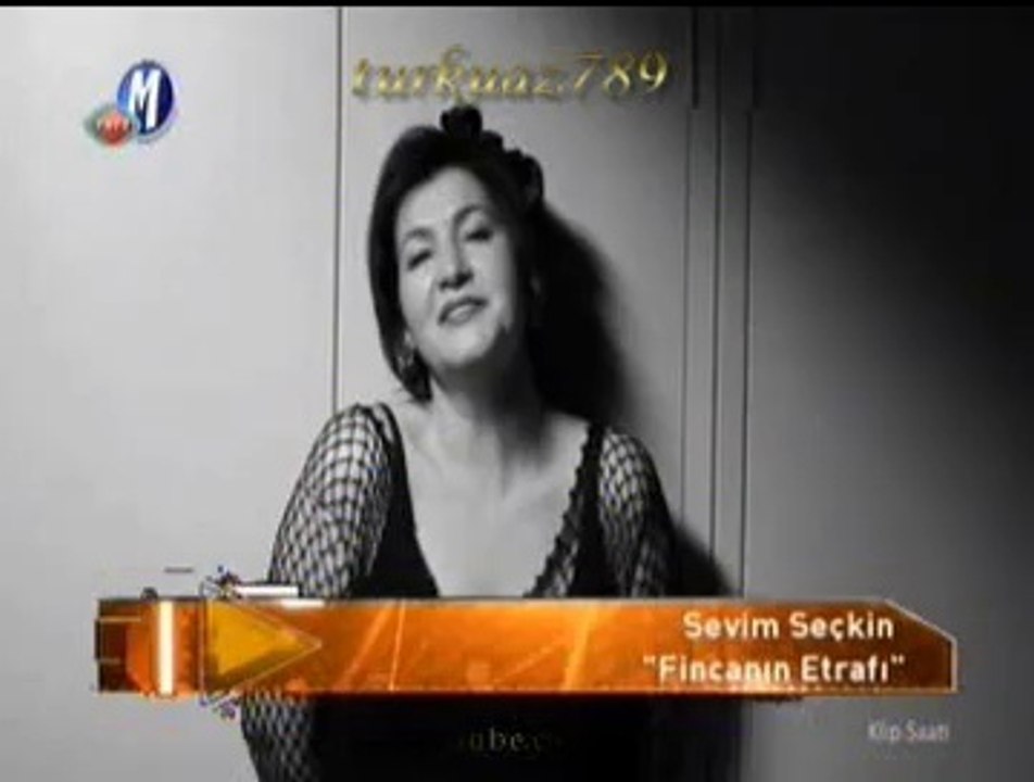 Sevim SEÇKİN-Fincanın Etrafı Yeşil