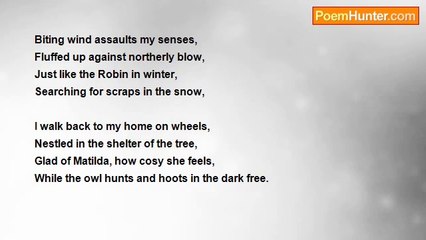 Anthony Foster - Snow Has Fallen In The New Forest.