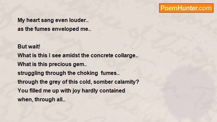 Sharon Maree Smith - Butterfly...