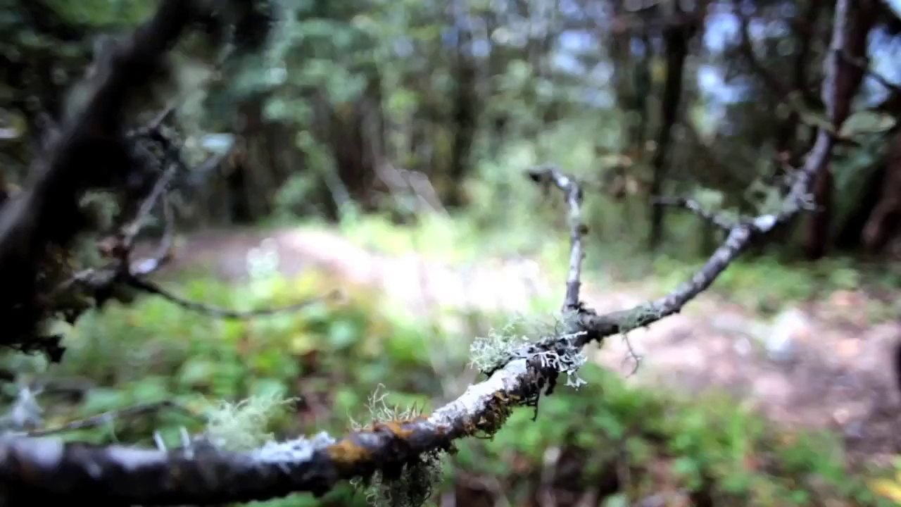 Mountain Biking //  Himalaya Mountain Bike Tour Trailer ( EDGE sport )