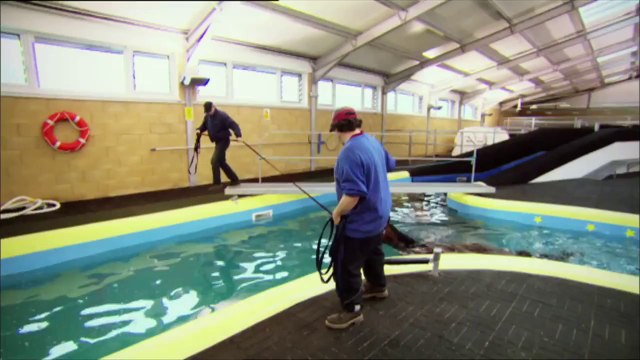 Michael Owen's Manor House Stables | Trans World Sport