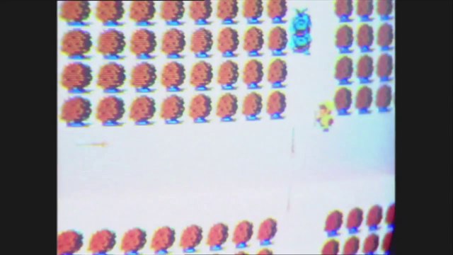 14-Year-Old Tiger Woods on Trans World Sport