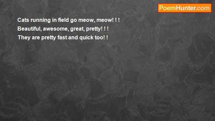 Ana Voskresenskaja - Cats in the Field