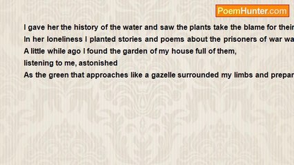 Qassim Haddad - Advancing from the garden