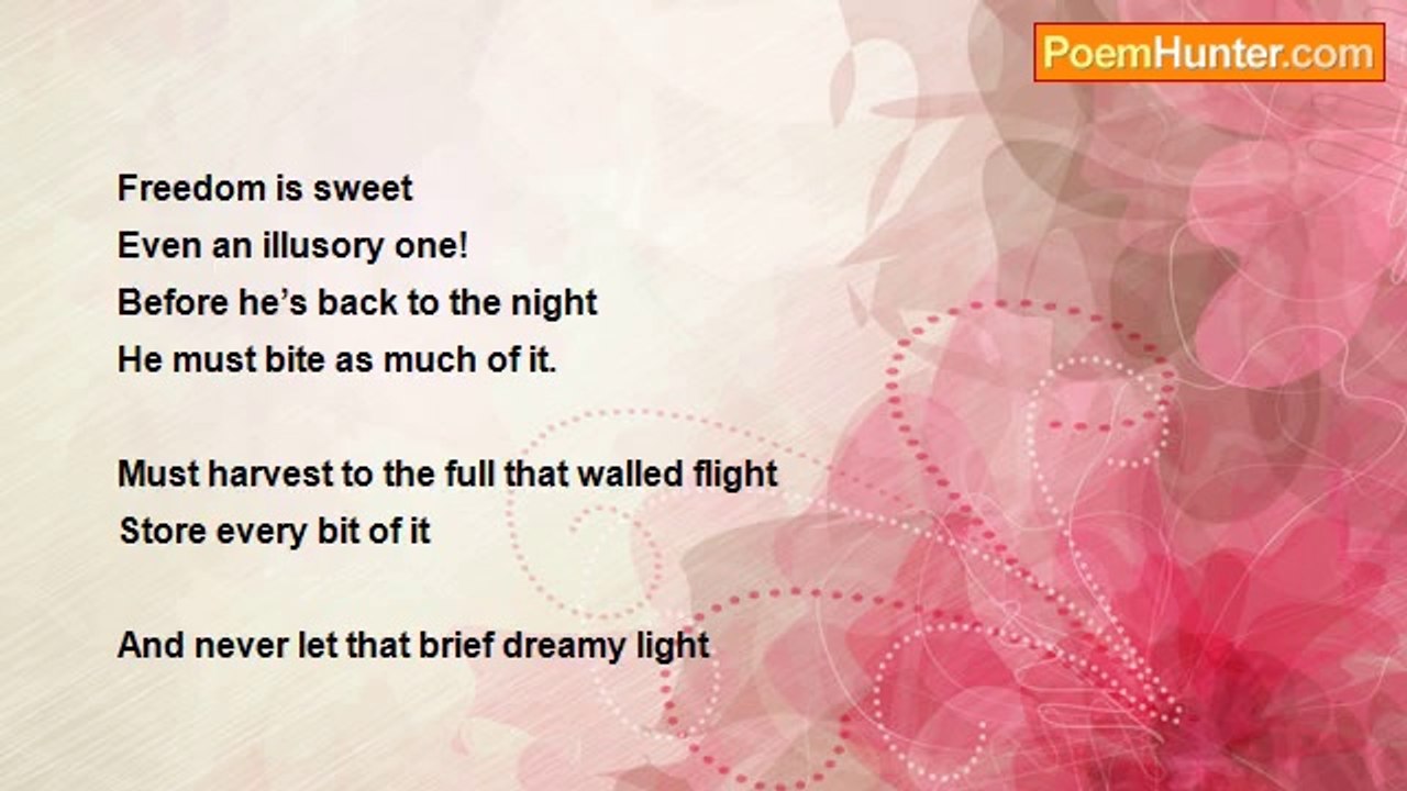 Pradip Chattopadhyay - Flight