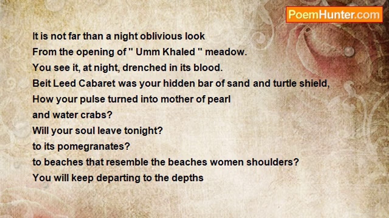 Saadi Youssef - The Mediterranean Café