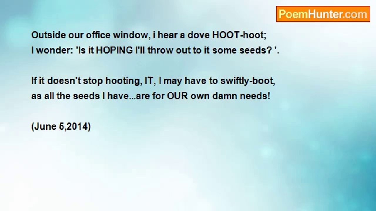 Bri Edwards - The HOOTING Dove  ......   [BIRDS; personal; selfishness; VERY SHORT]