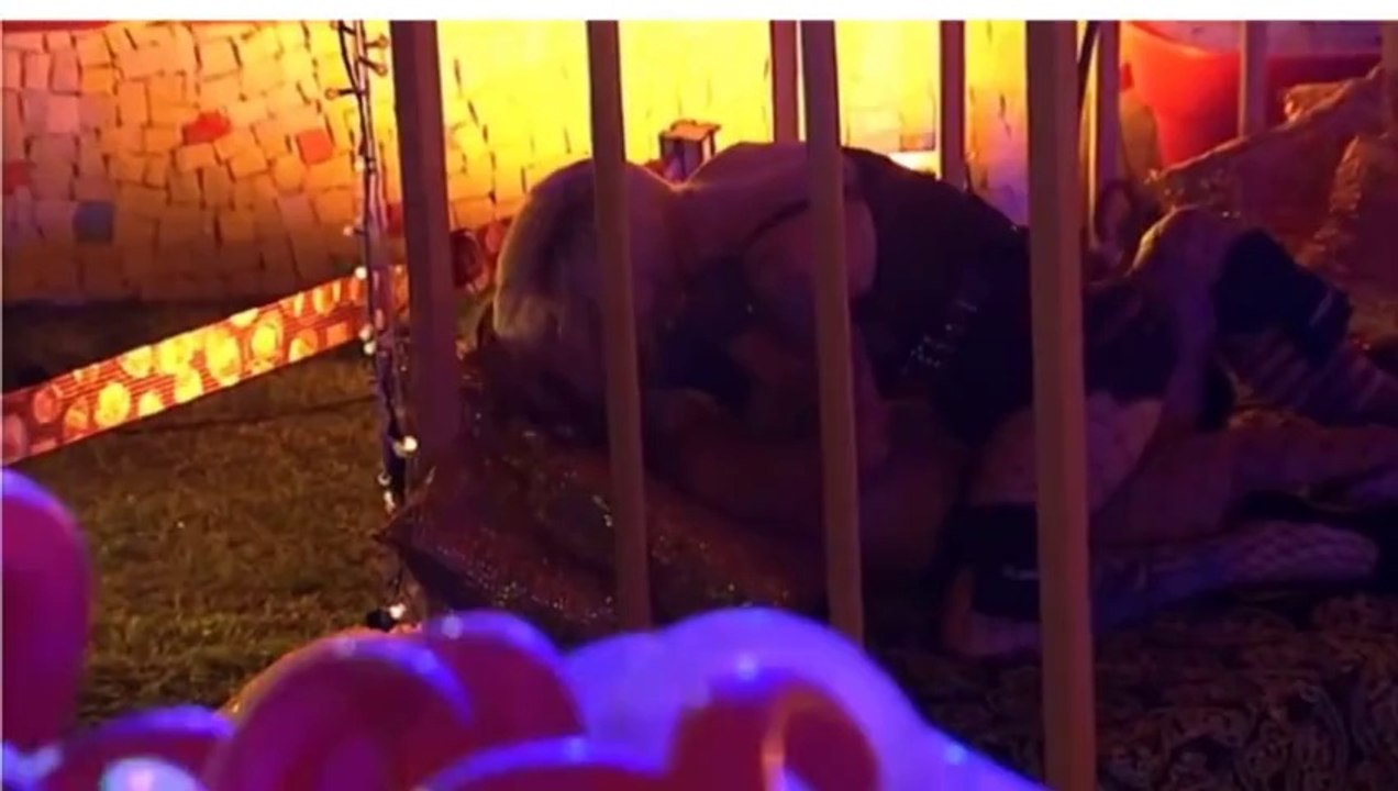 Clara e Vanessa trocam beijos na Festa Circo [BBB14]