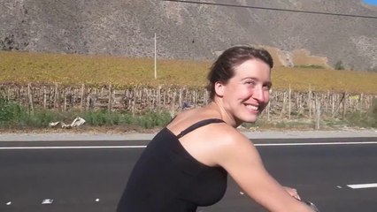 Paysage 09 - Vicuna Vignes