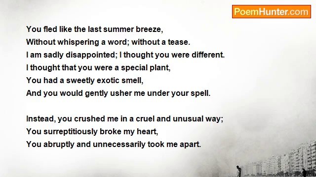 Hebert Logerie - You Left Without an Au Revoir