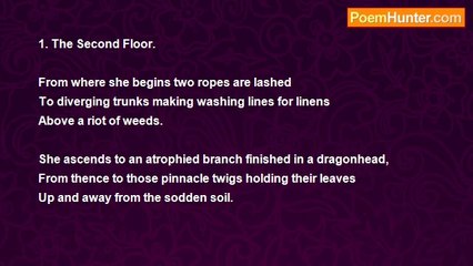 Christine Elizabeth Murray - My Tree At Night From A Different Window