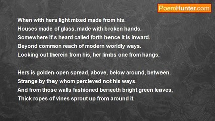 Is It Poetry - Mixed Light