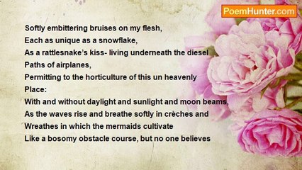 Robert Rorabeck - Paths of Airplanes