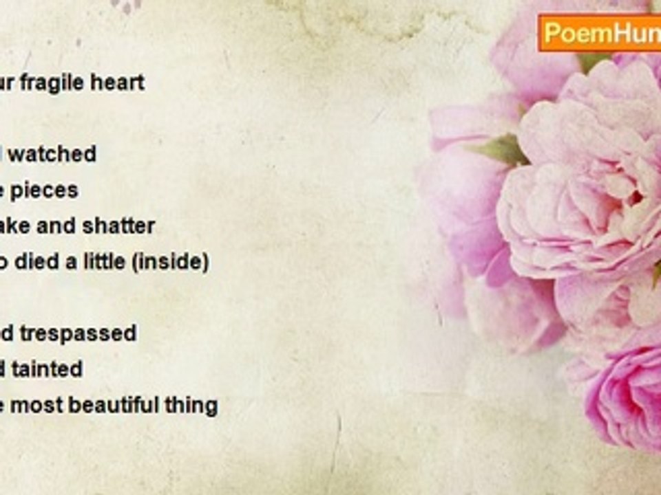 Shalom Freedman - When We See The Young As We Once Were